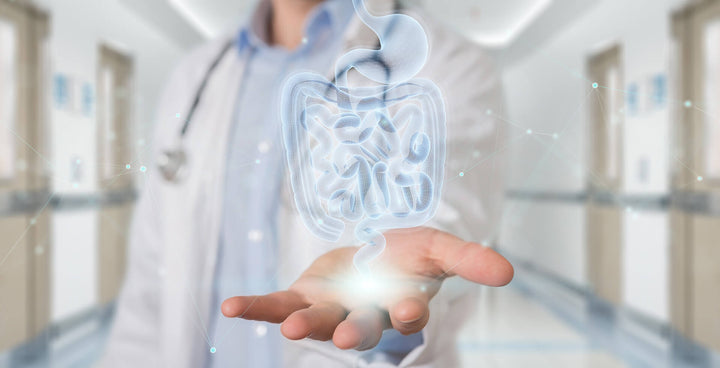 LEAKY GUT SYNDROM: WENN DER DARM NICHT RICHTIG DICHT IST