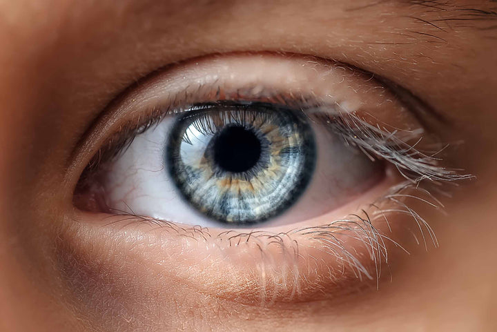 NÄHRSTOFFE FÜRS AUGE: DAMIT HAST DU DEN DURCHBLICK