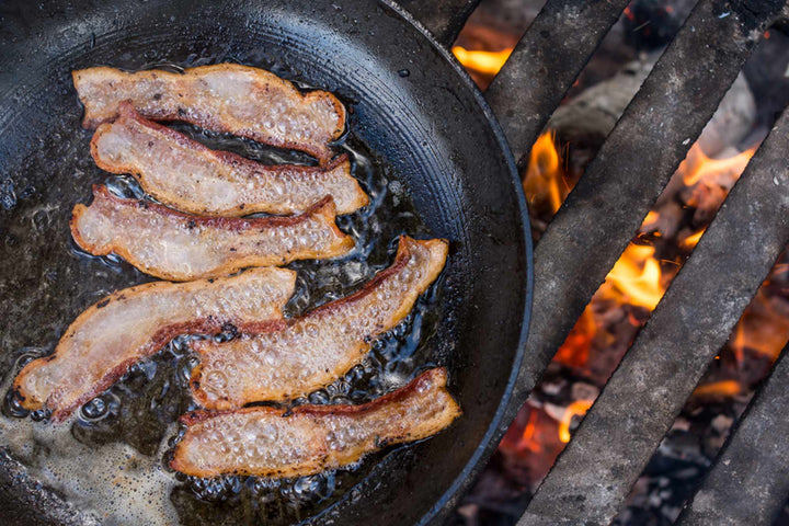 PALEO | ERSTER KONTAKT – TEIL 2