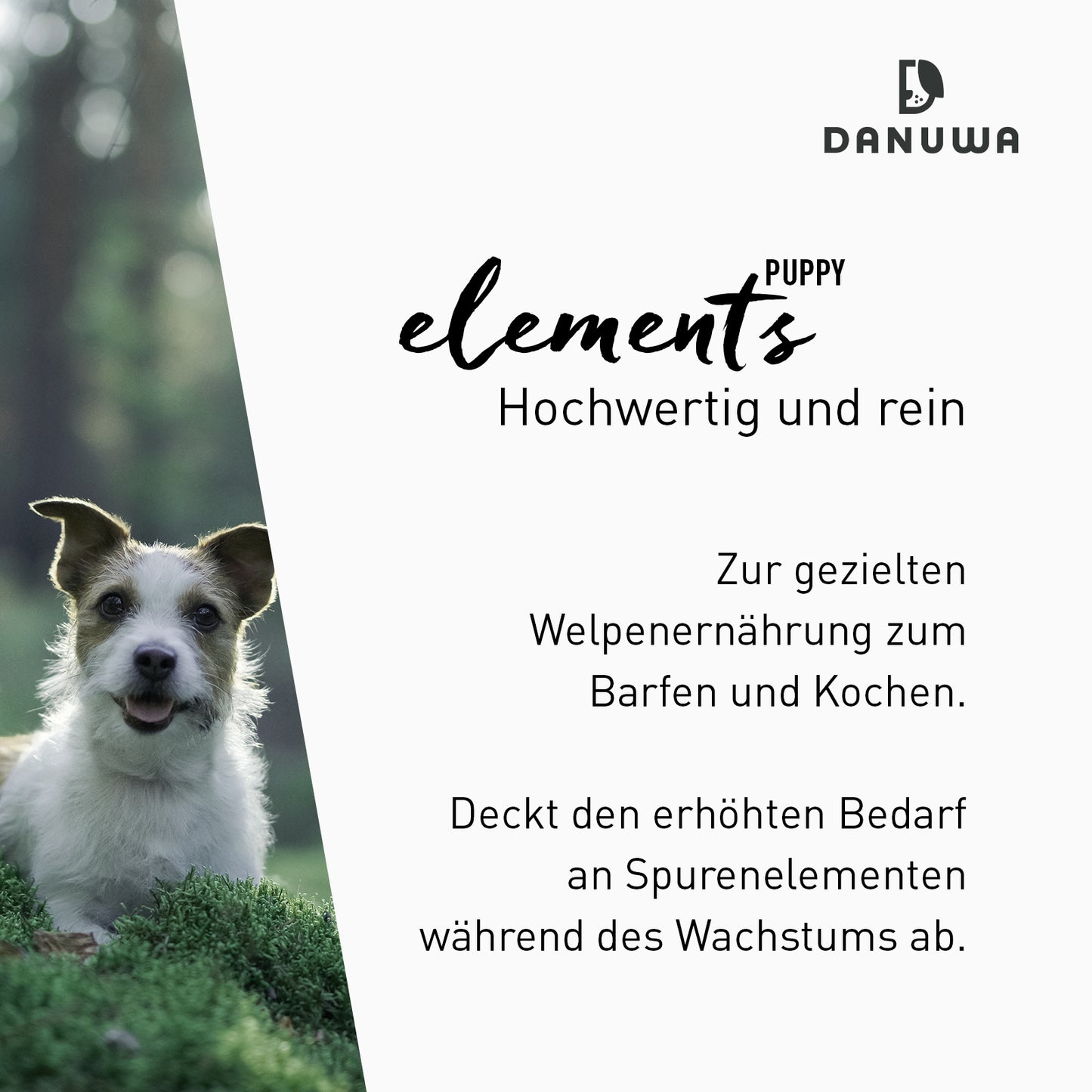 Danuwa Elements Puppy