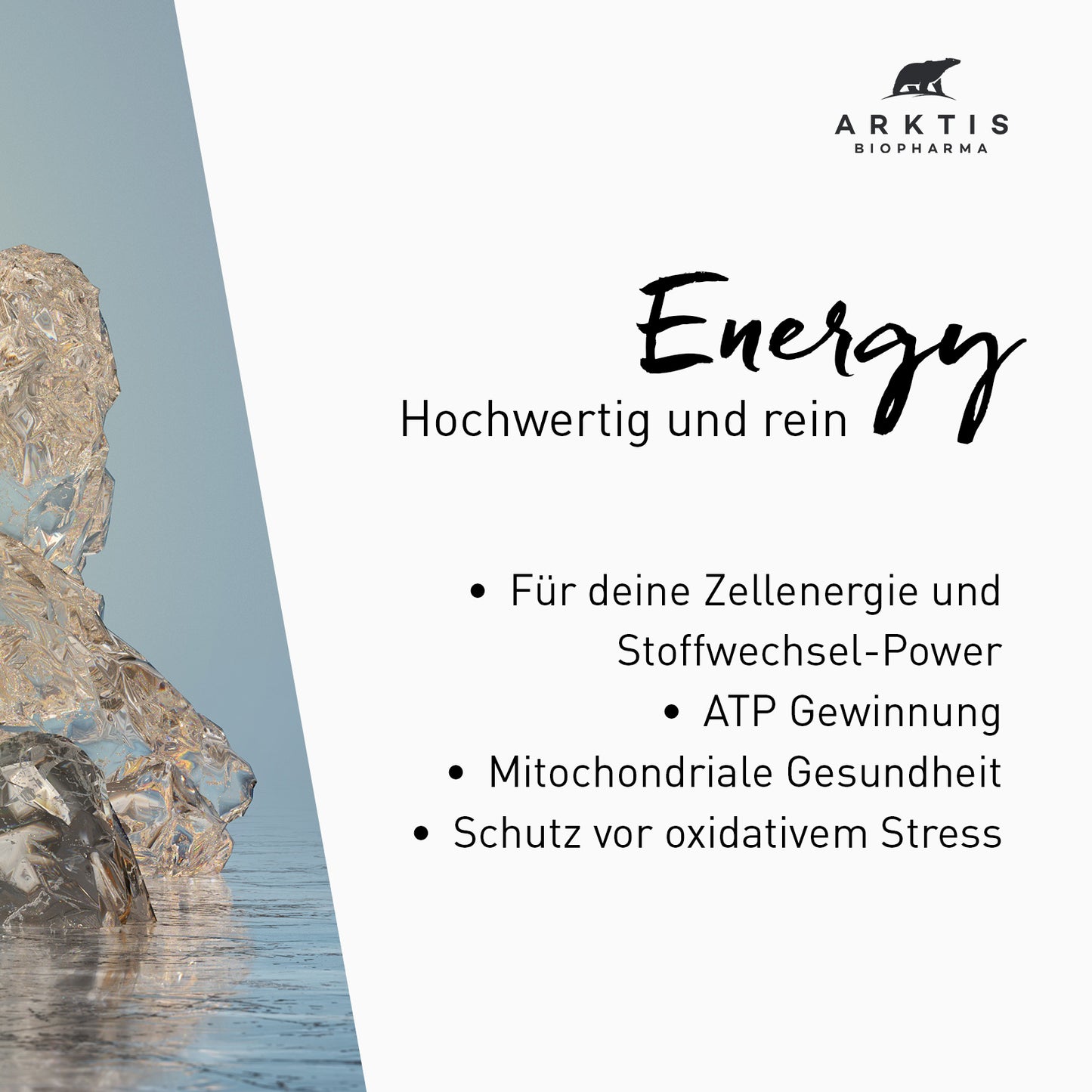 Arktis Energy - Q10 + NADH