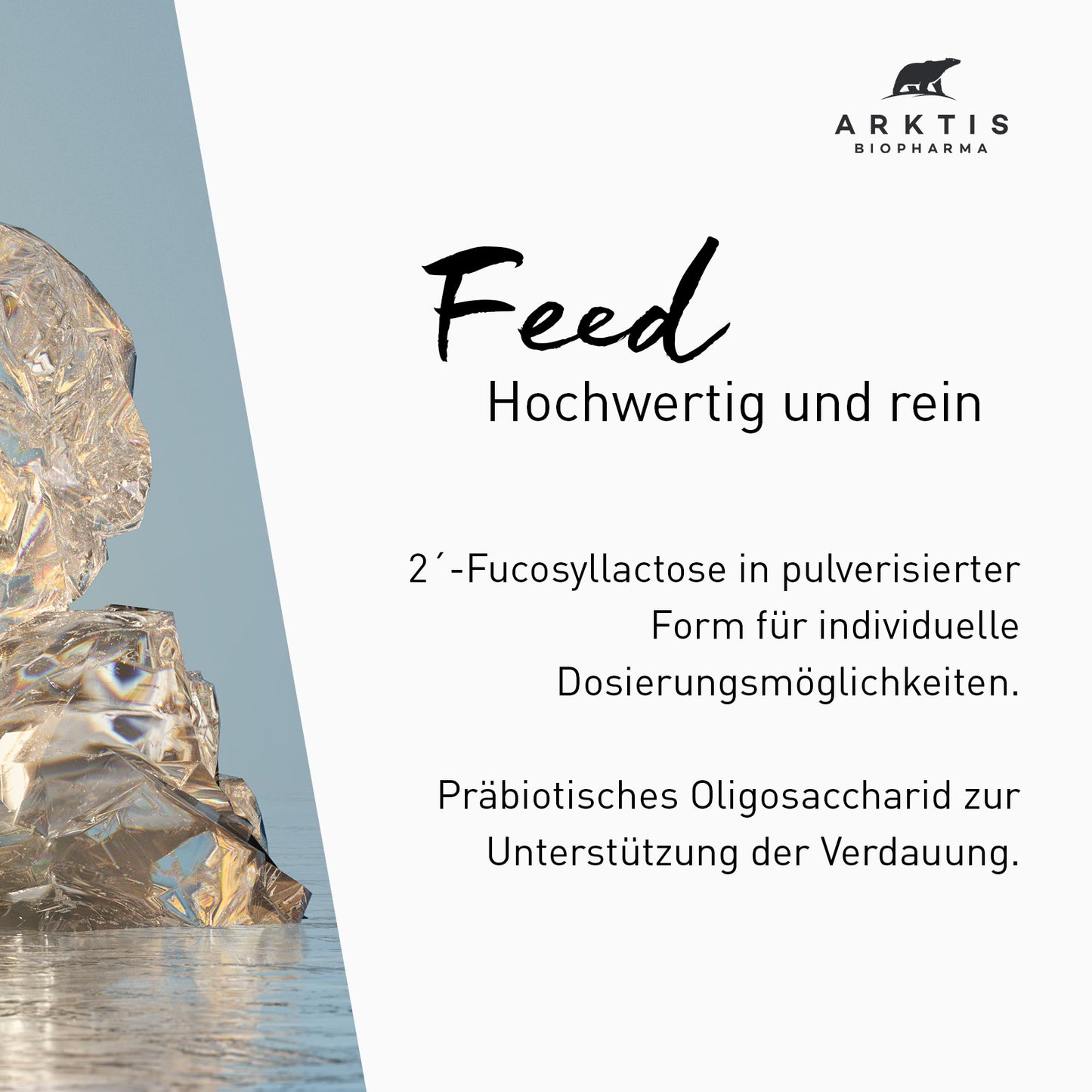 Arktis Feed - 2'-Fucosyllactose