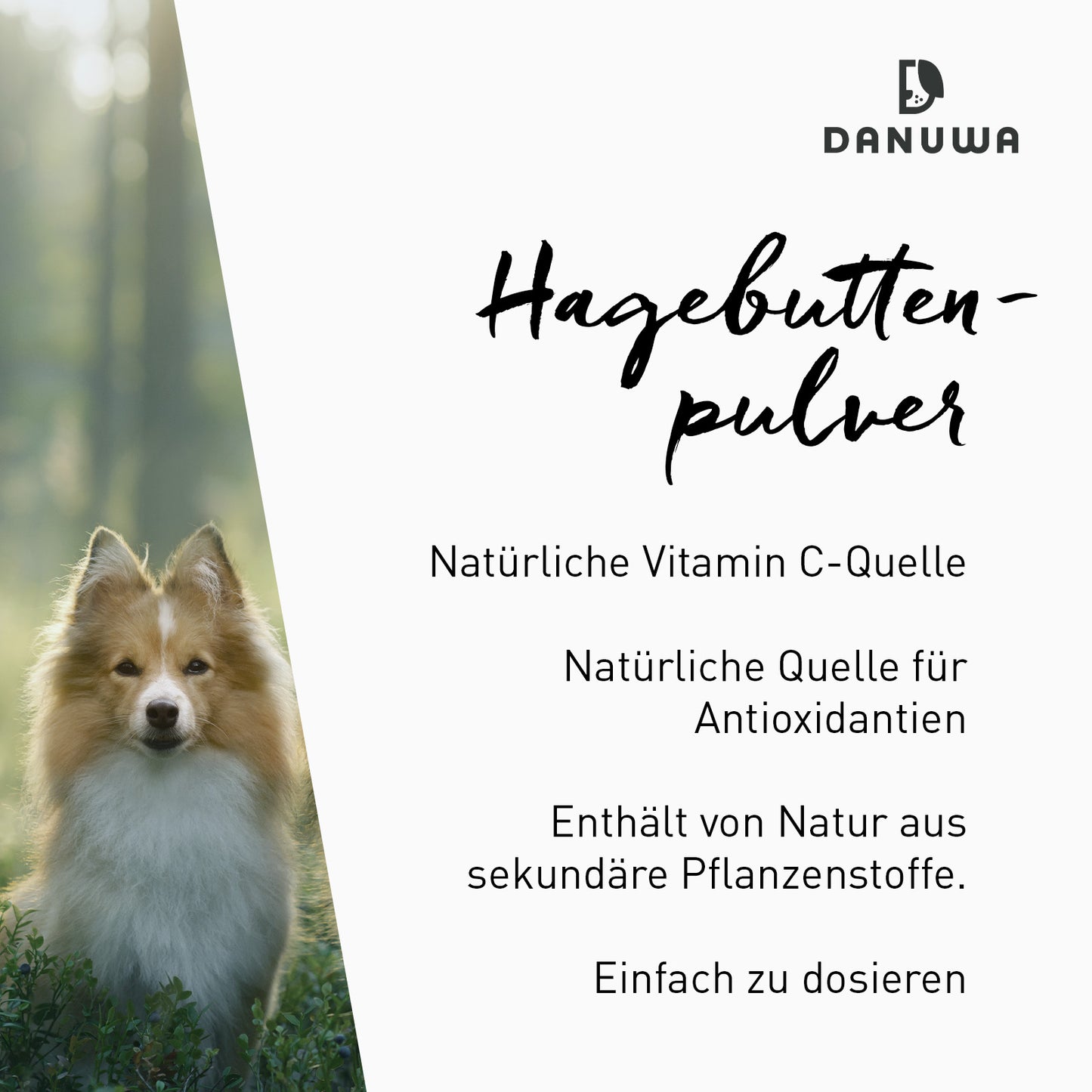 Danuwa Hagebuttenpulver