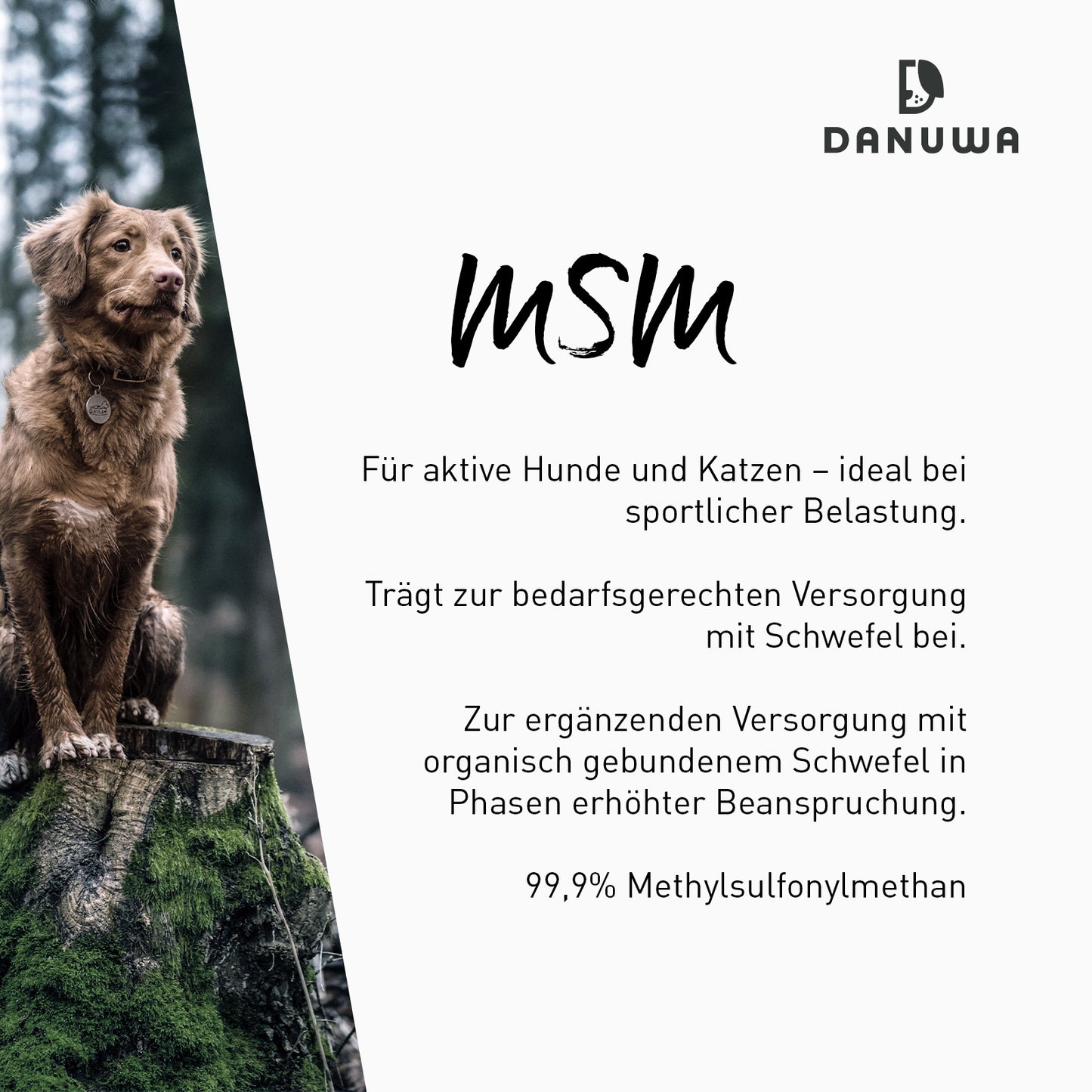 Danuwa Organischer Schwefel – Purfor MSM®