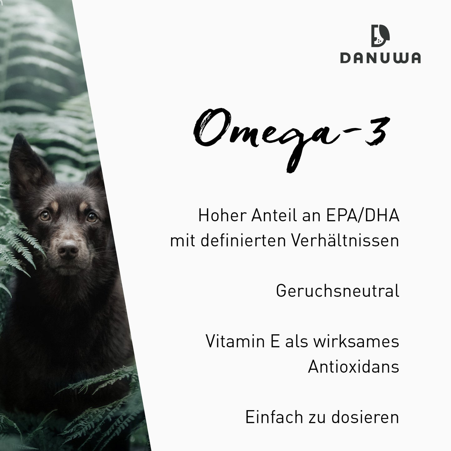 Danuwa Omega-3 + Vitamin E