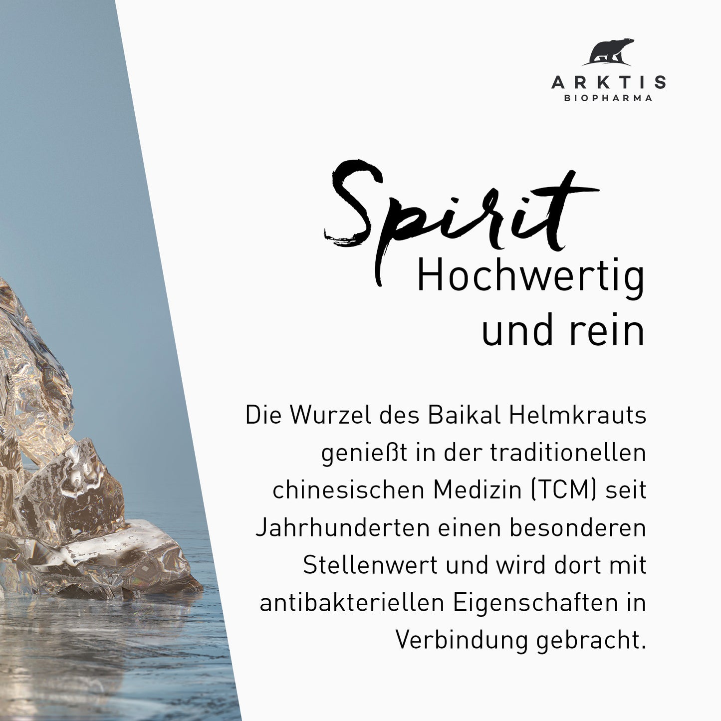 Arktis Spirit - Baikal Helmkrautwurzel