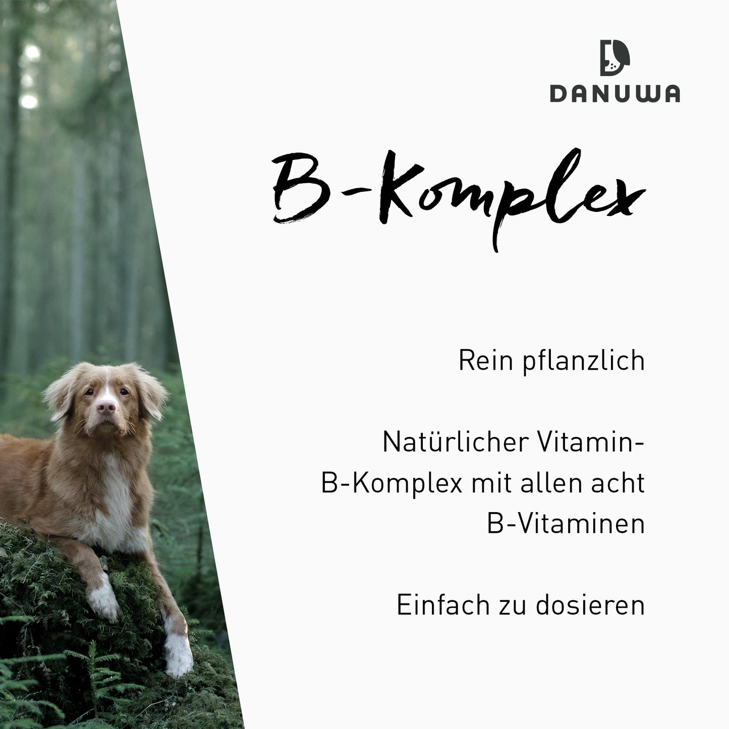 Danuwa Vitamin B-Komplex aus Buchweizenkeimen