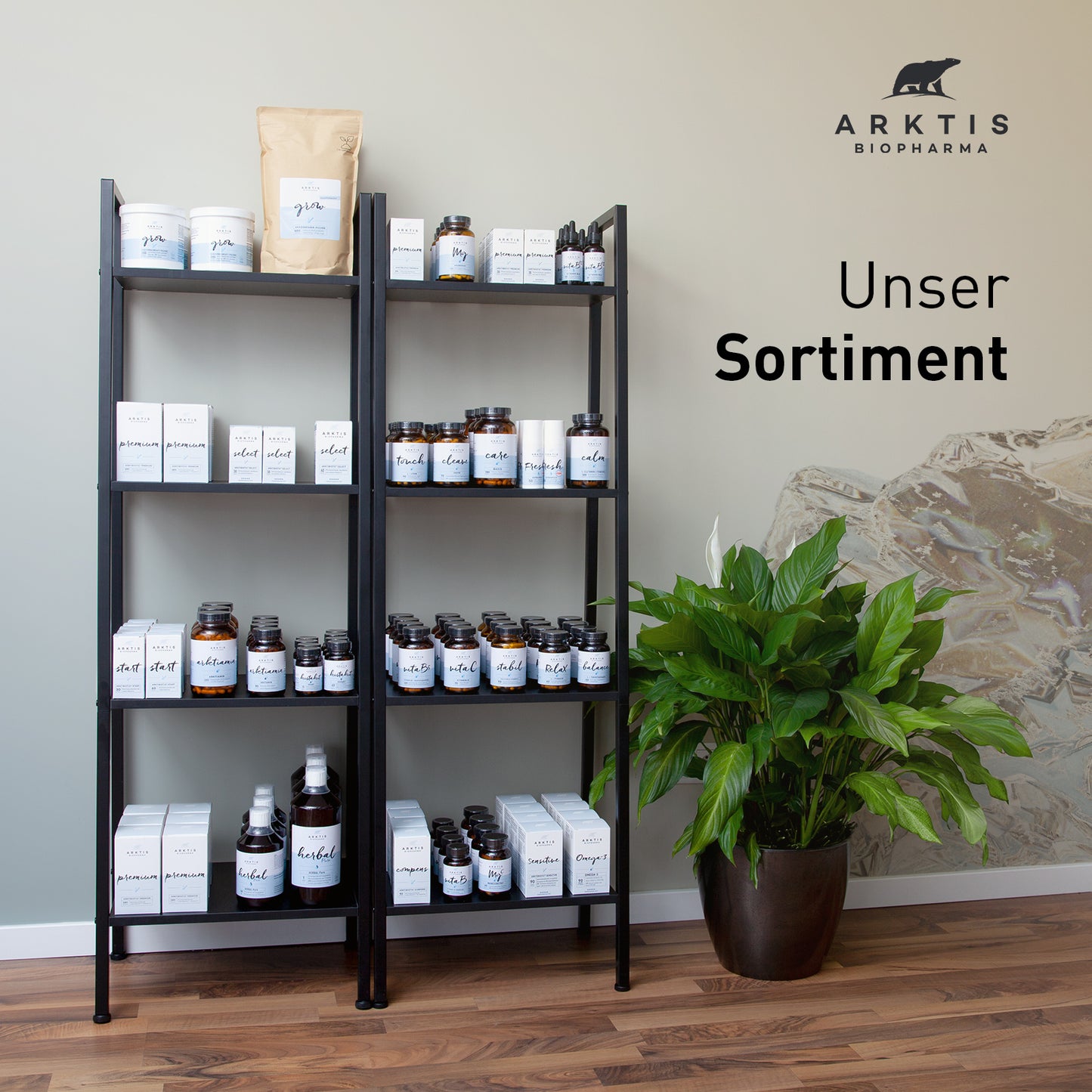Arktis Base Pure - Basenpulver
