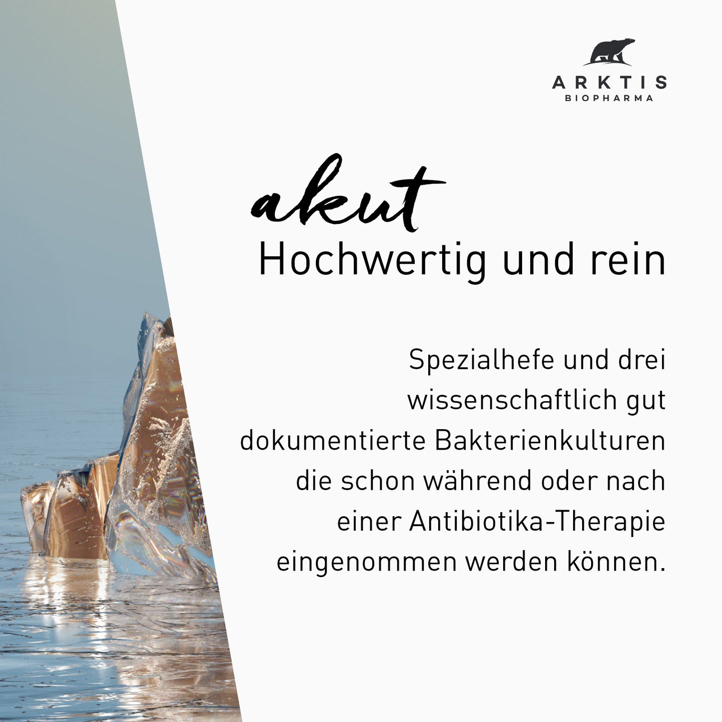 Arktis Arktibiotic Akut