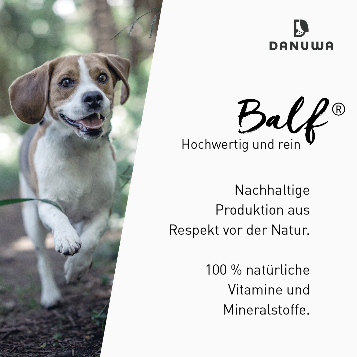 BALF® - Luftgetrocknete Nahrung - 100% Natur für Ihren Hund
