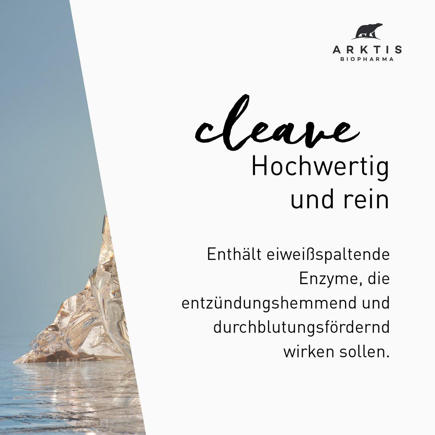 Arktis Cleave - Enzyme