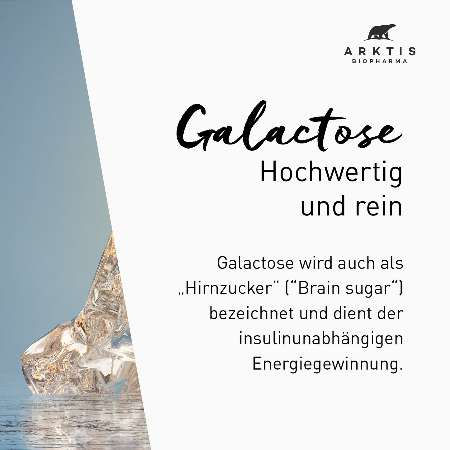 Arktis Galactose