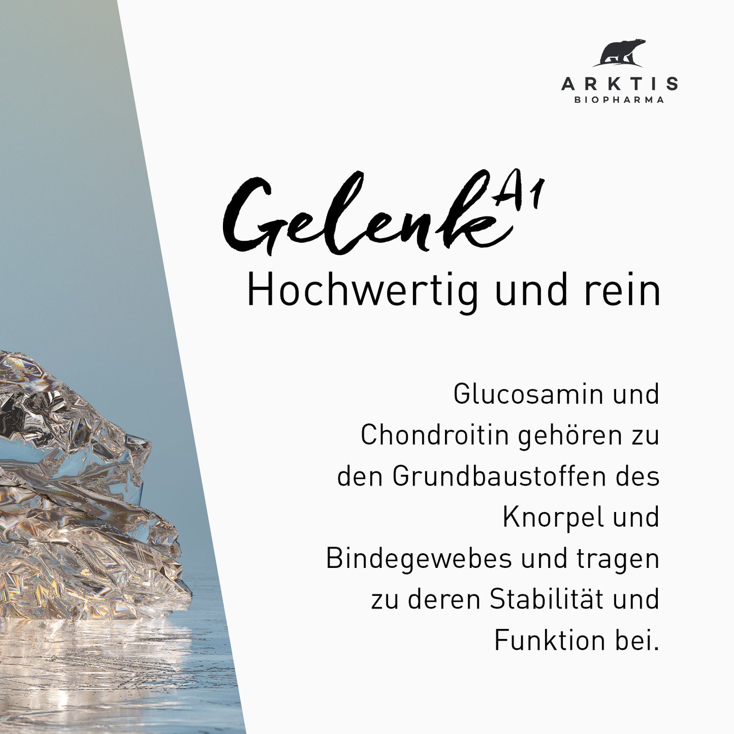 Arktis Gelenk A1