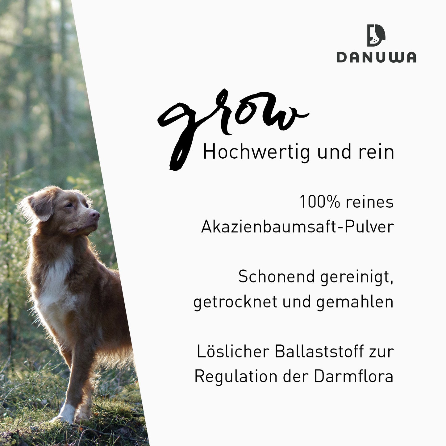 Danuwa Grow Akazienbaumsaftpulver
