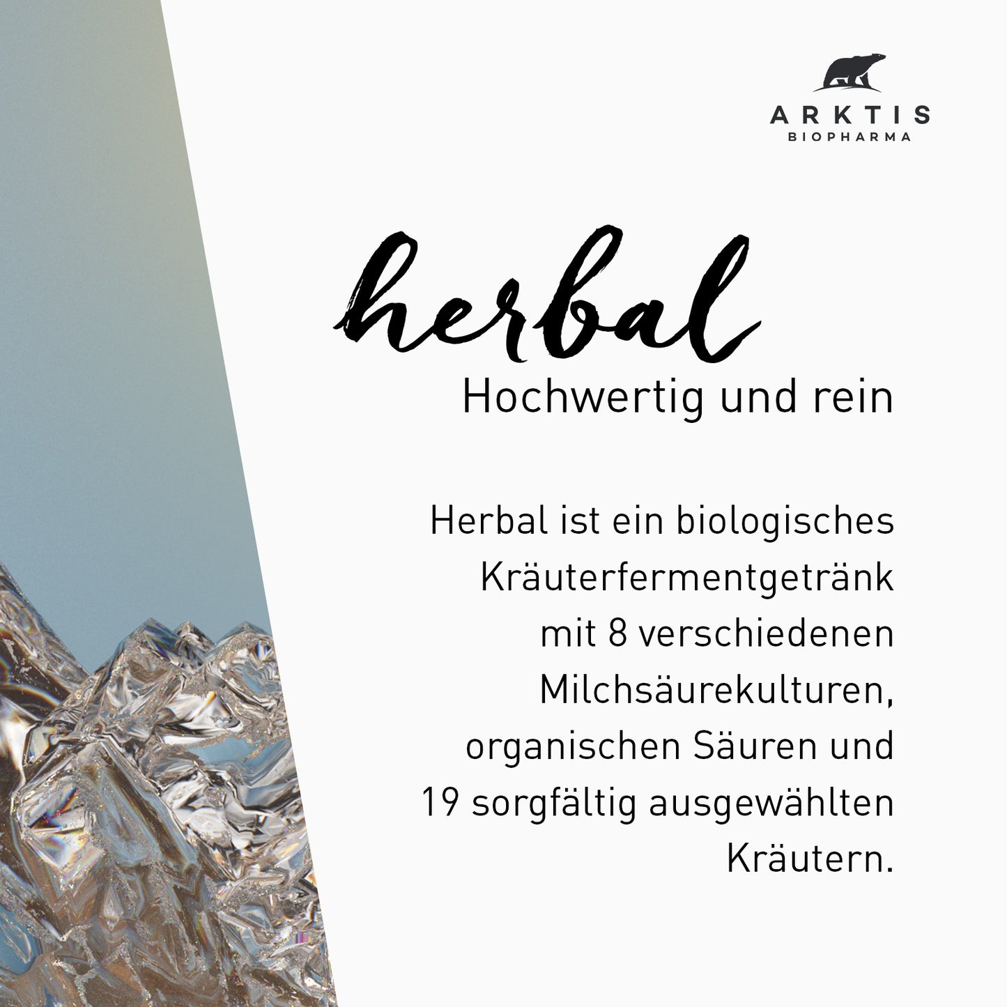 Arktis Herbal “Pure”