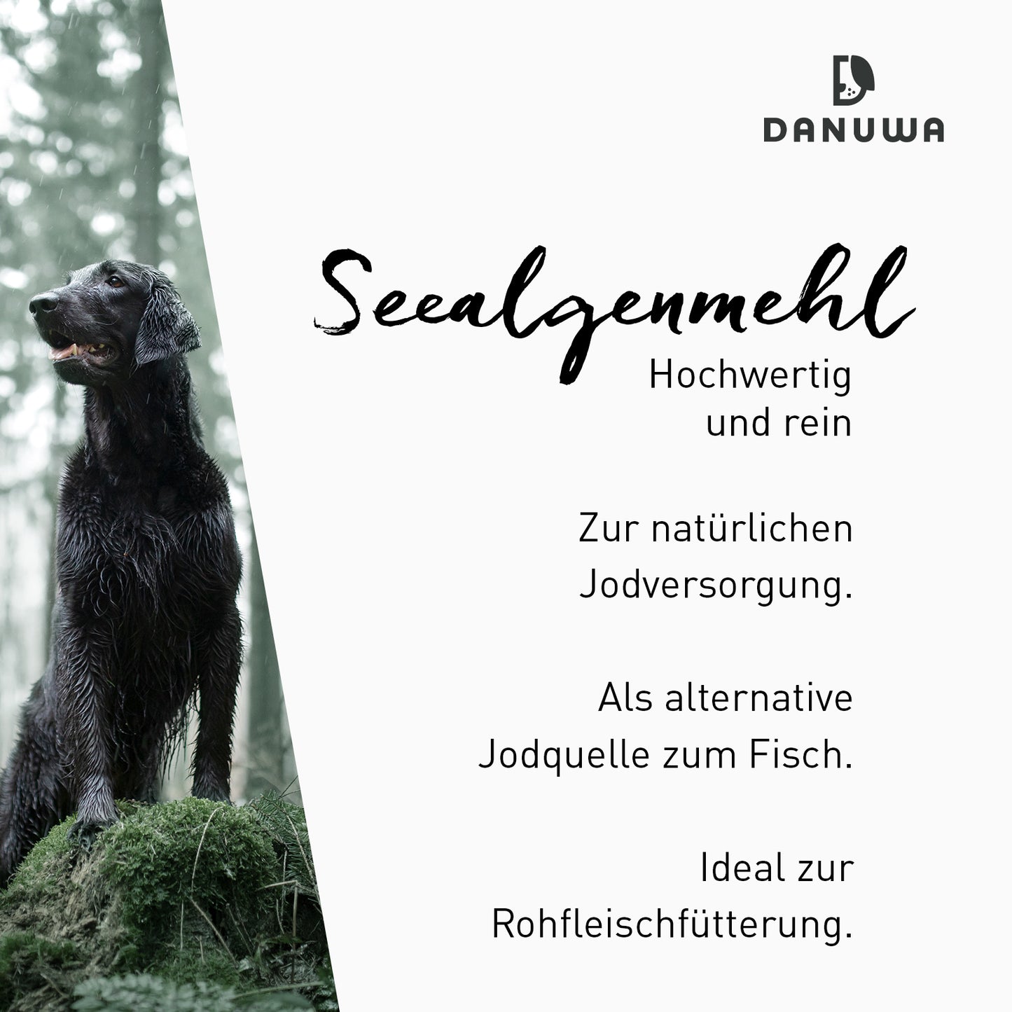 Danuwa Seealgenmehl