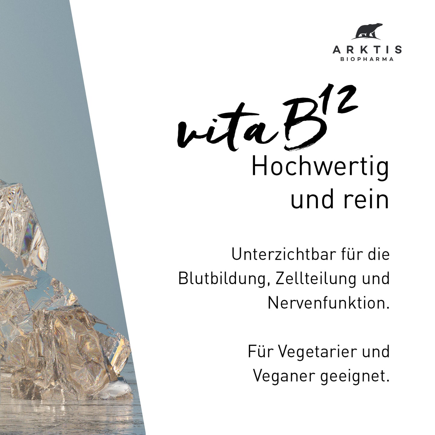 Arktis Vita B12 - Vitamin B12