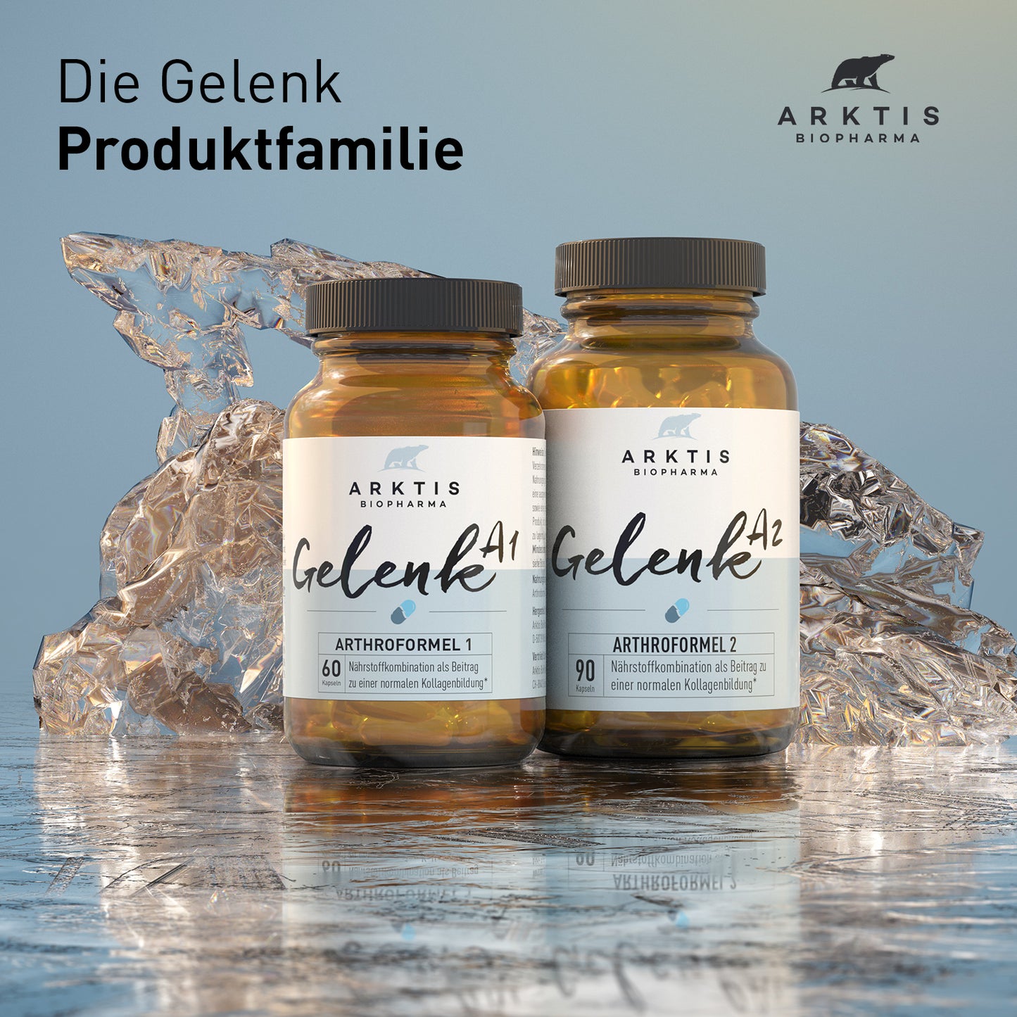 Arktis Gelenk A1