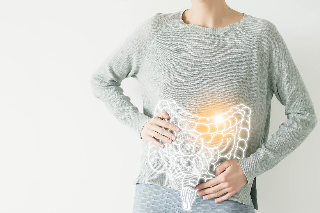 ALLERGIEN UND DER DARM – EINE BEDEUTSAME VERBINDUNG
