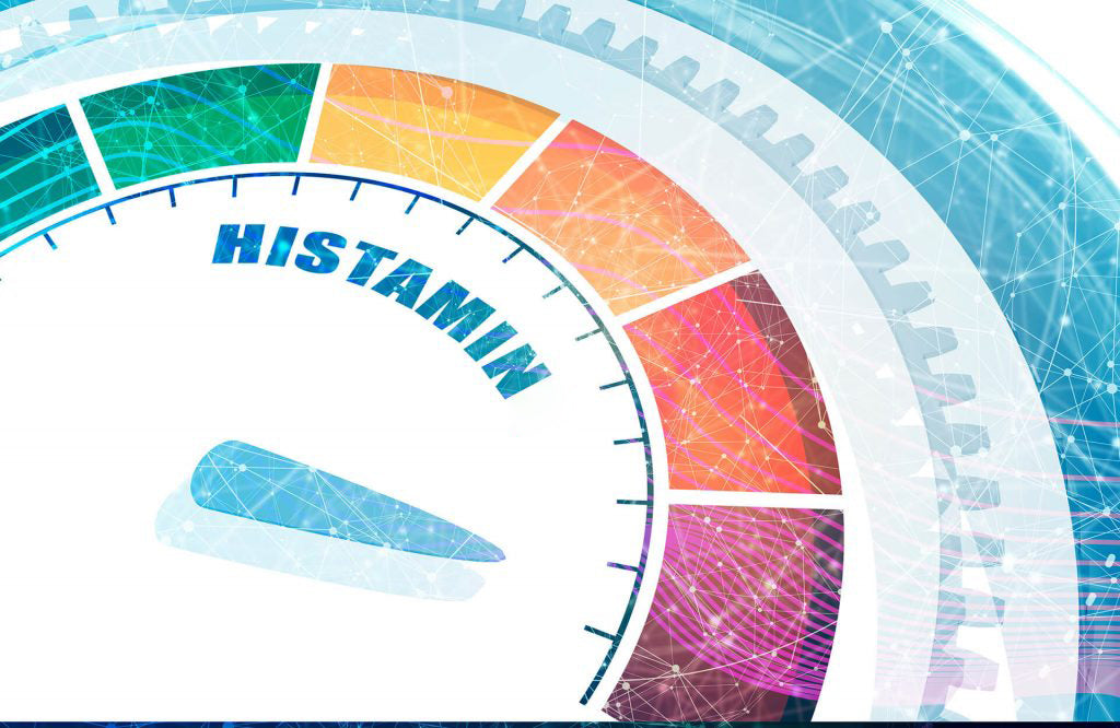 HISTAMIN – FREUND ODER FEIND?