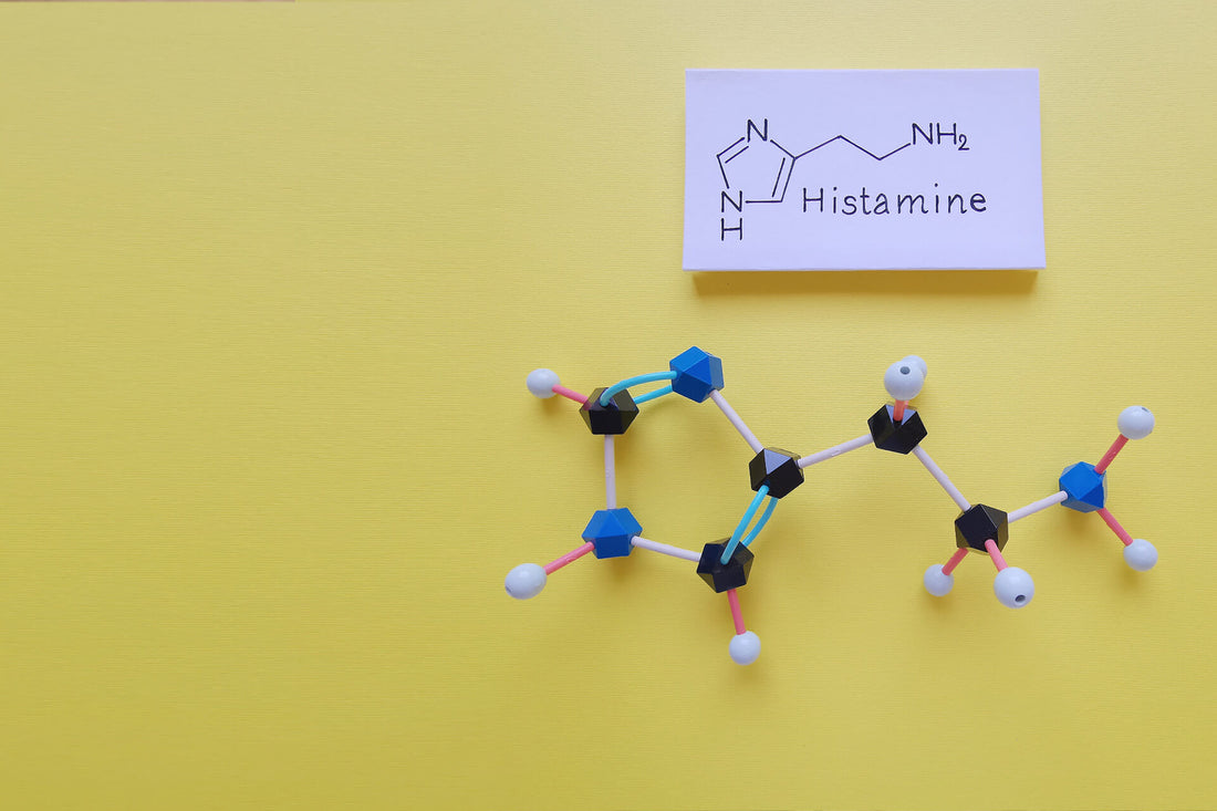 HISTAMINOSE: WANN HISTAMIN ZUM PROBLEM WIRD