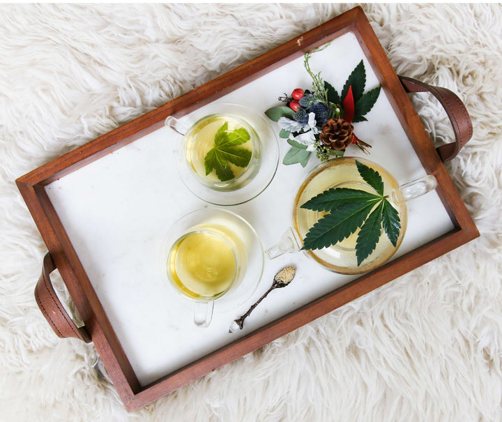 CBD – HYPE ODER „ECHTER“ BAUSTEIN FÜR DARMGESUNDHEIT UND CO?
