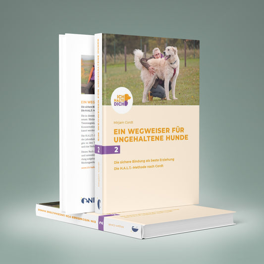 Ein Wegweiser für ungehaltene Hunde - Die H.A.L.T.-Methode nach Cordt: Mensch-Hund-Bindung gestalten
