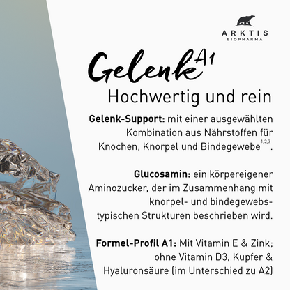 Arktis Gelenk A1 - Arthroformel 1