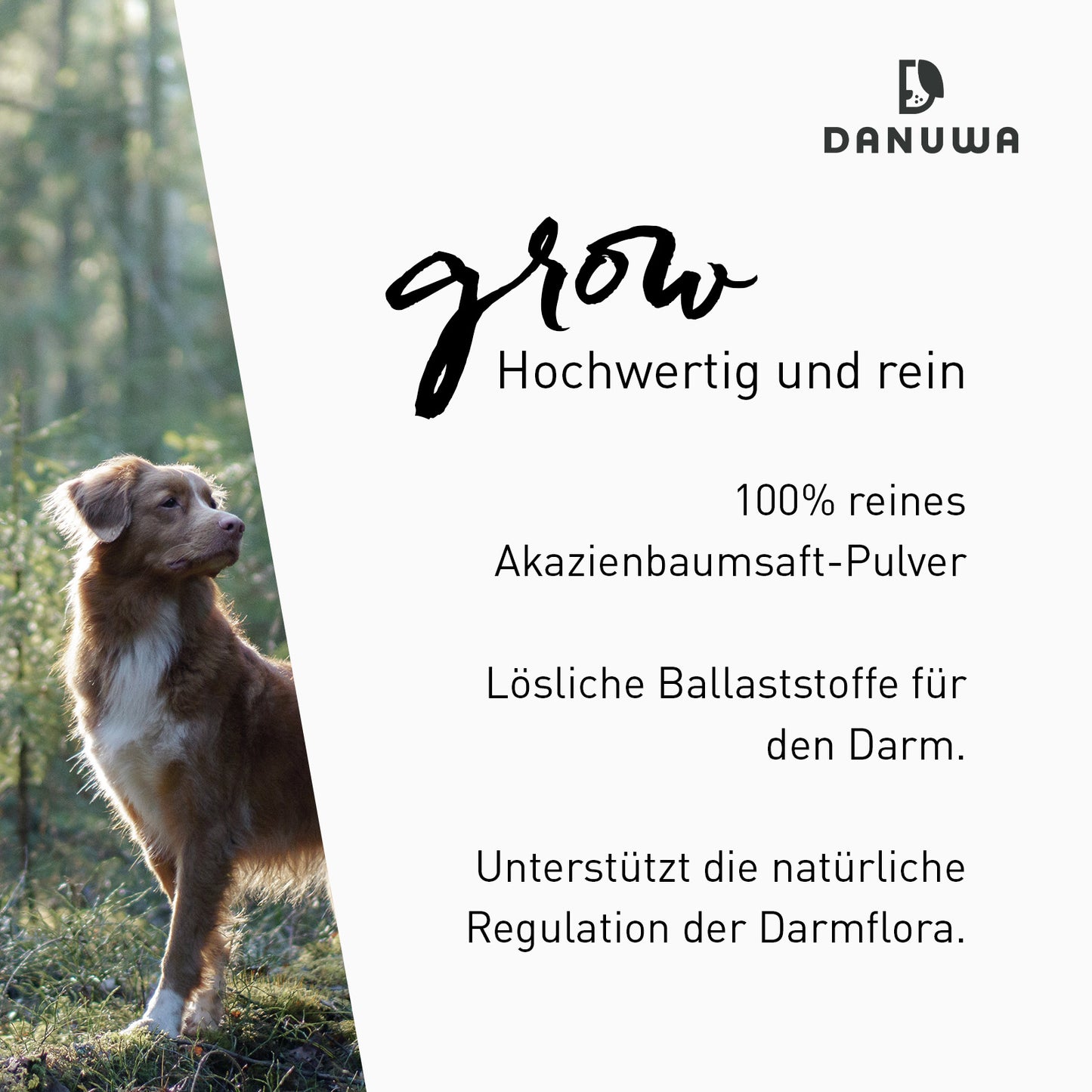 Danuwa Grow Akazienbaumsaftpulver
