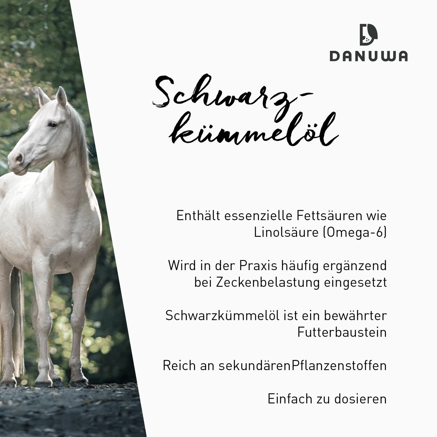 Danuwa Schwarzkümmelöl - reduzierter Preis wegen verkürztem MHD 12/25 - nur solange der Vorrat reicht