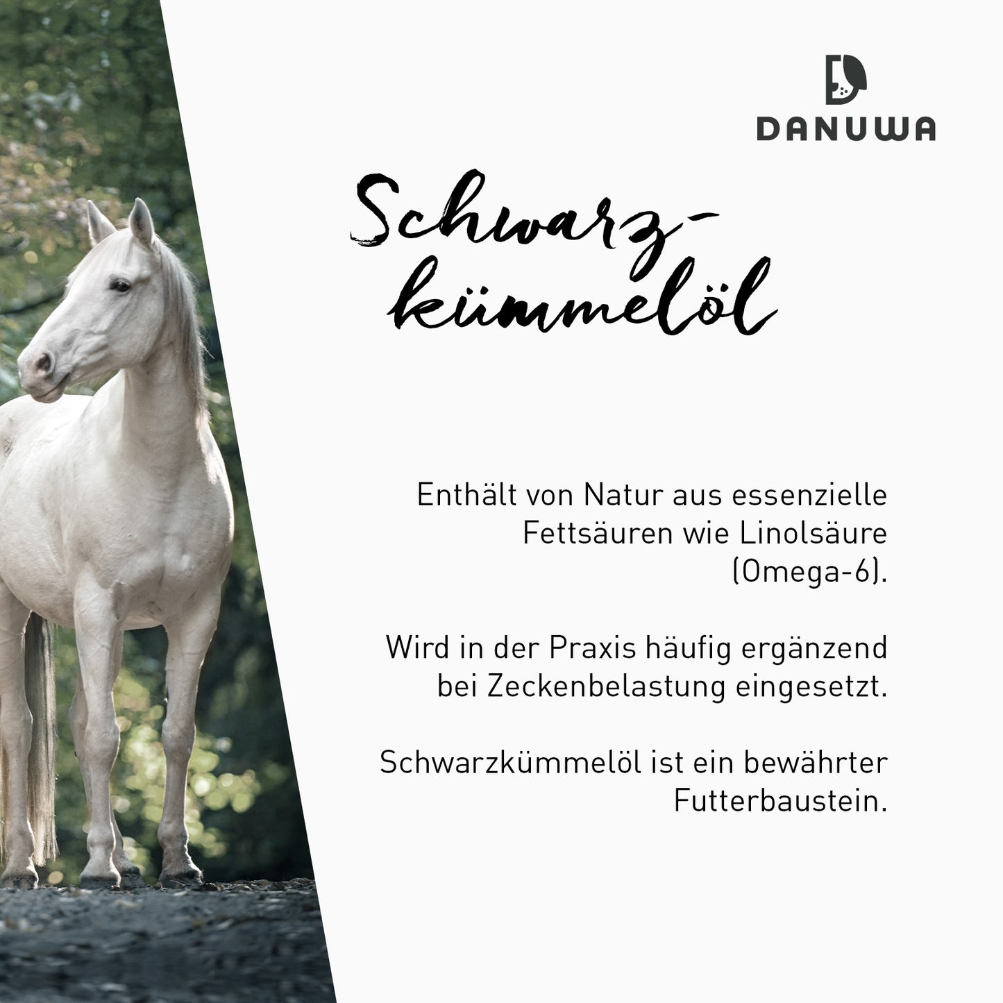 Danuwa Schwarzkümmelöl - reduzierter Preis wegen verkürztem MHD 12/25 - nur solange der Vorrat reicht