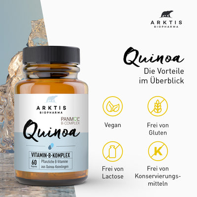 Arktis Vitamin B-Komplex aus Quinoa