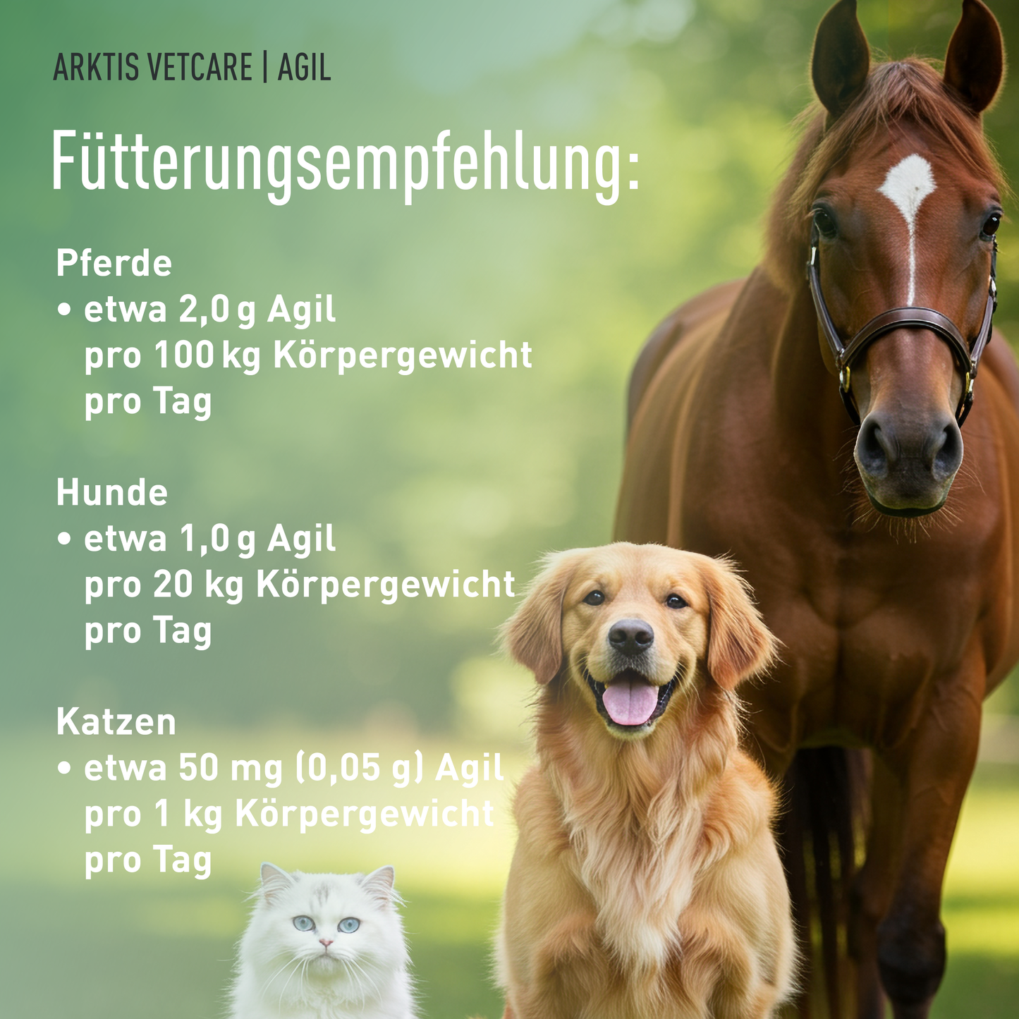 Arktis Vetcare Agil - OptiMSM® Flakes