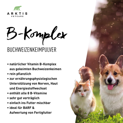 Arktis Vetcare B-Komplex - Buchweizenkeimpulver