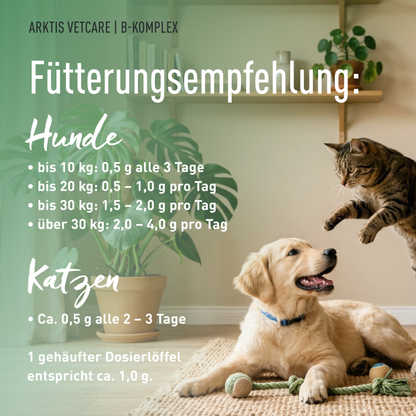 Arktis Vetcare B-Komplex - Buchweizenkeimpulver