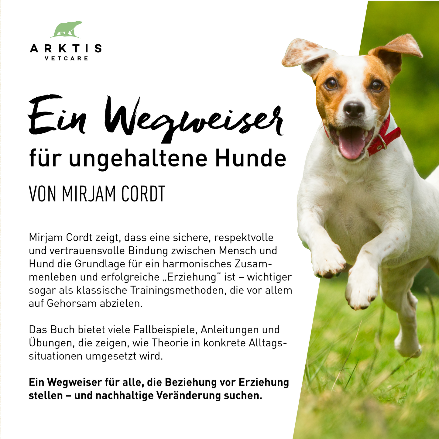 Ein Wegweiser für ungehaltene Hunde - Die H.A.L.T.-Methode nach Cordt: Mensch-Hund-Bindung gestalten