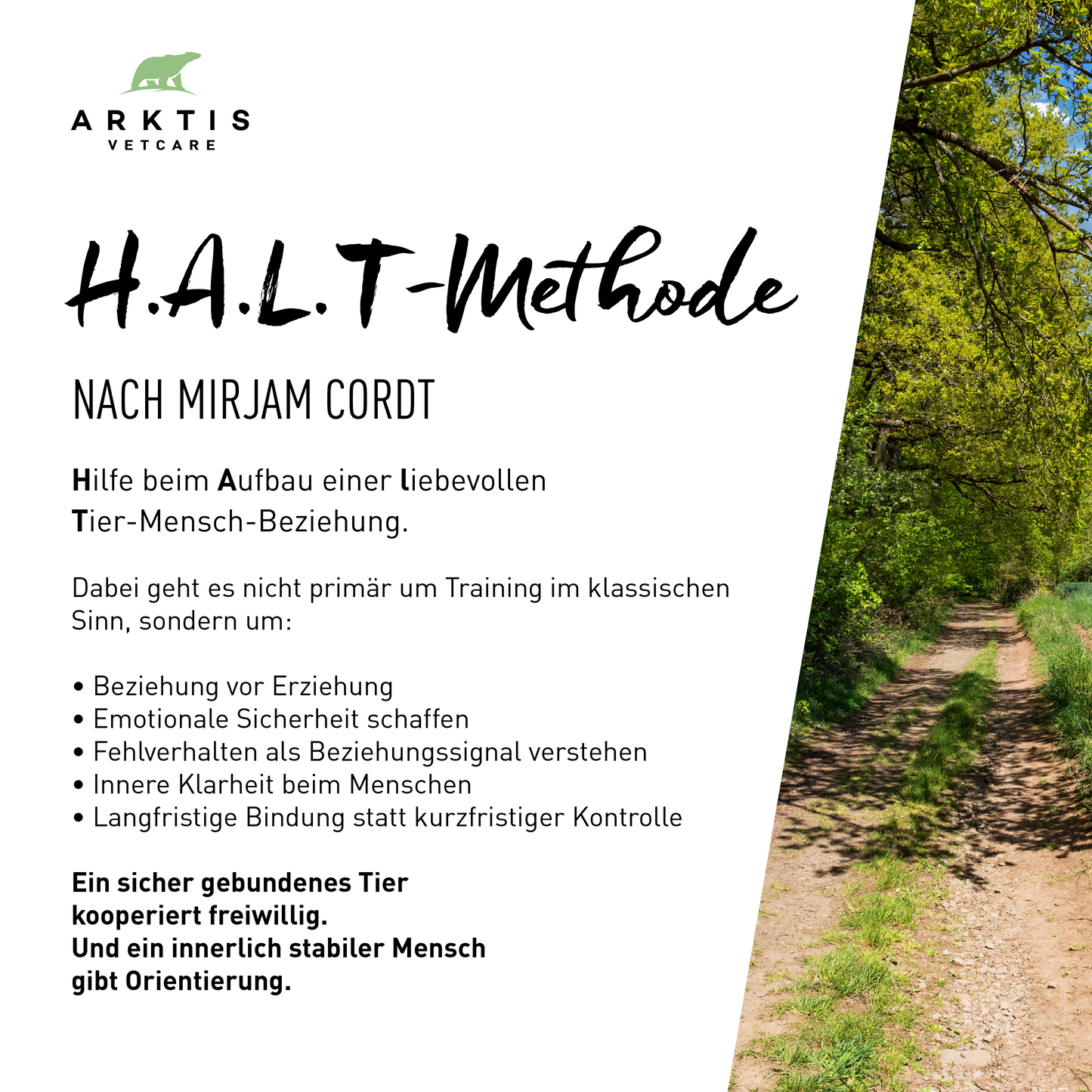 Ein Wegweiser für ungehaltene Hunde - Die H.A.L.T.-Methode nach Cordt: Mensch-Hund-Bindung gestalten