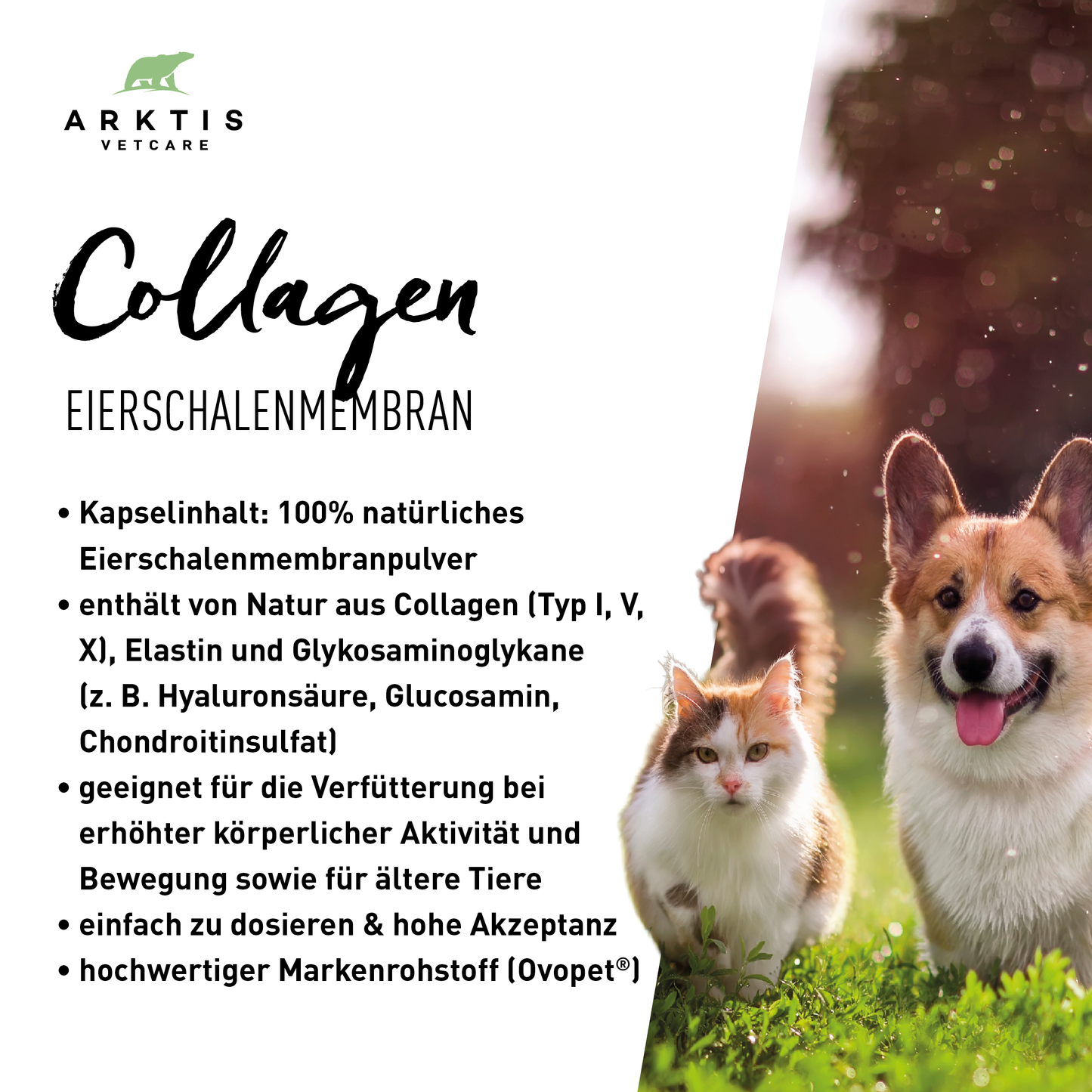 Arktis Vetcare Collagen - Eierschalenmembran