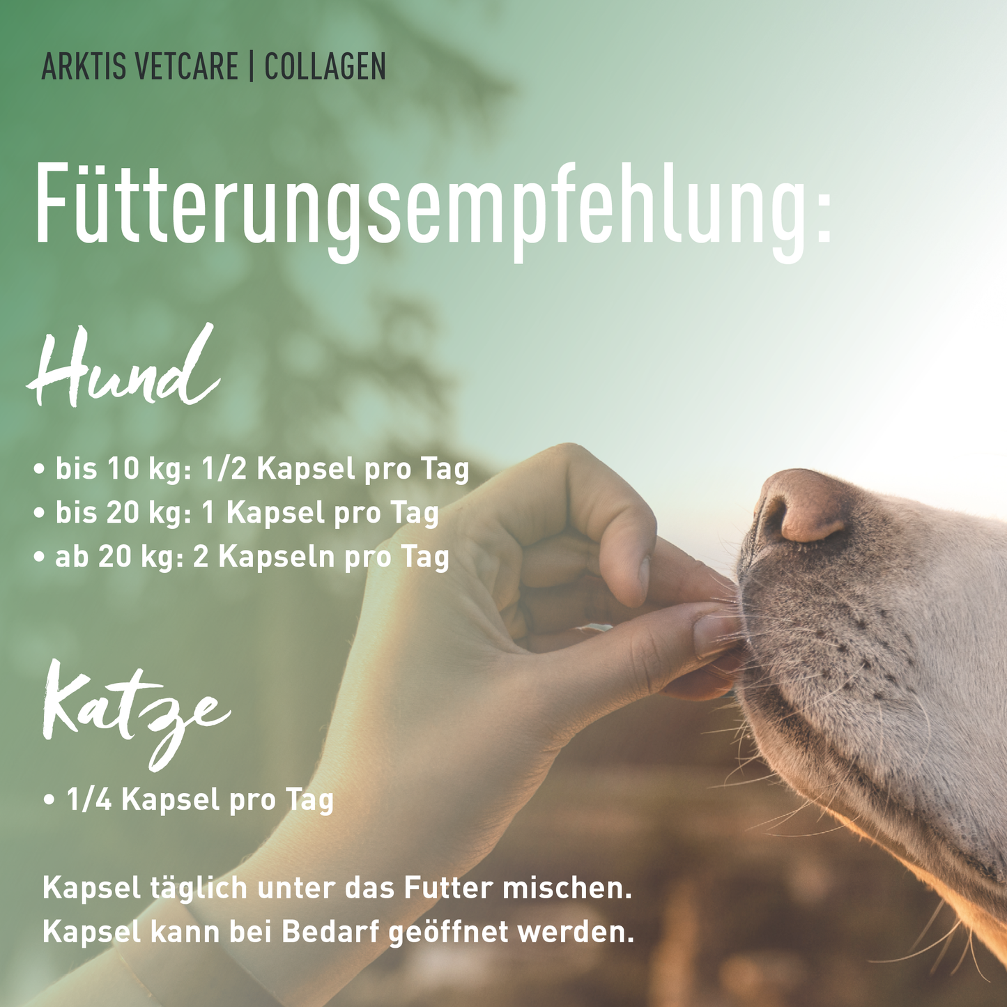 Arktis Vetcare Collagen - Eierschalenmembran