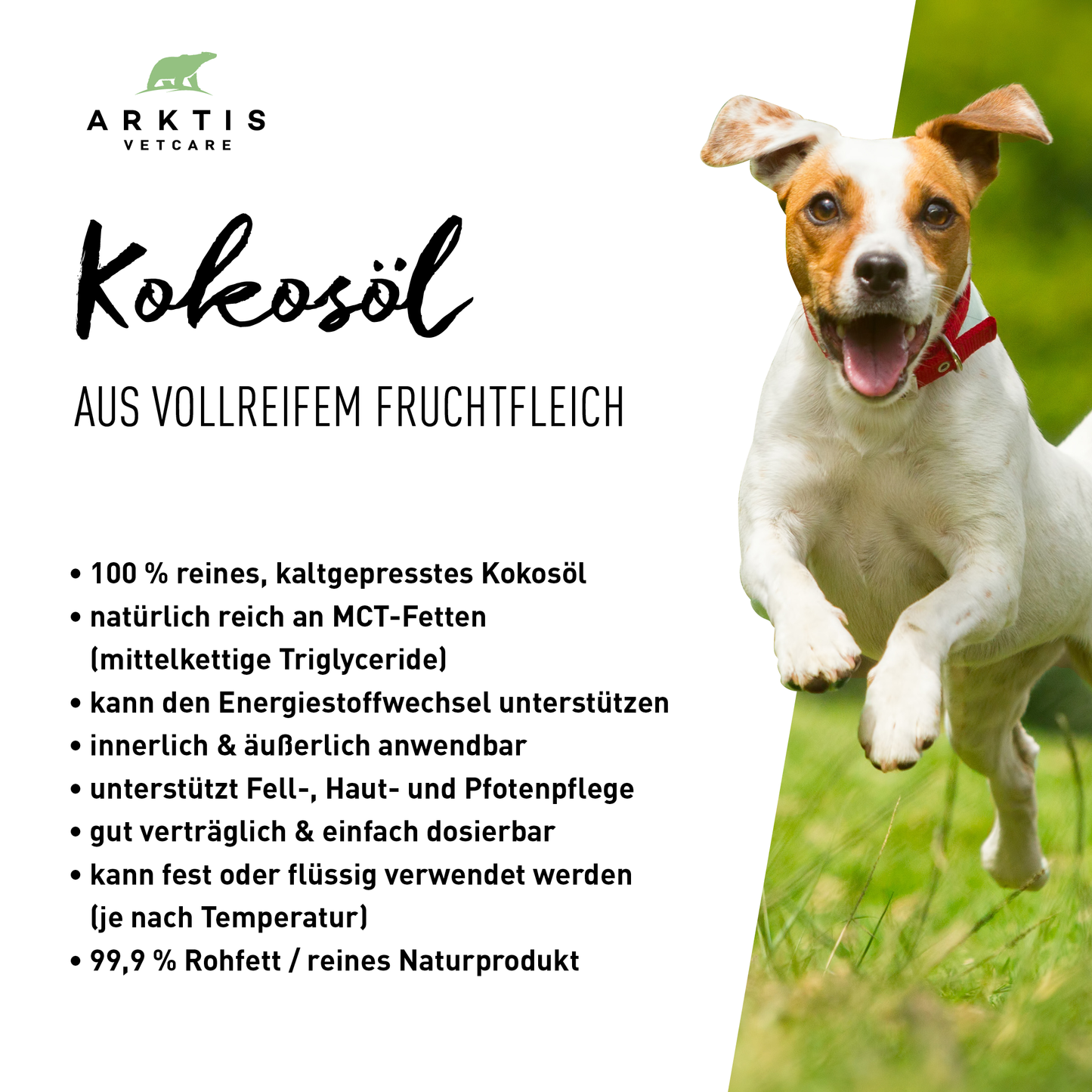 Arktis Vetcare Kokosöl
