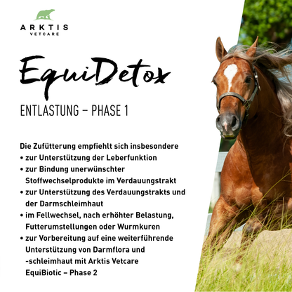 Arktis Vetcare DarmBalance Vorteilspaket