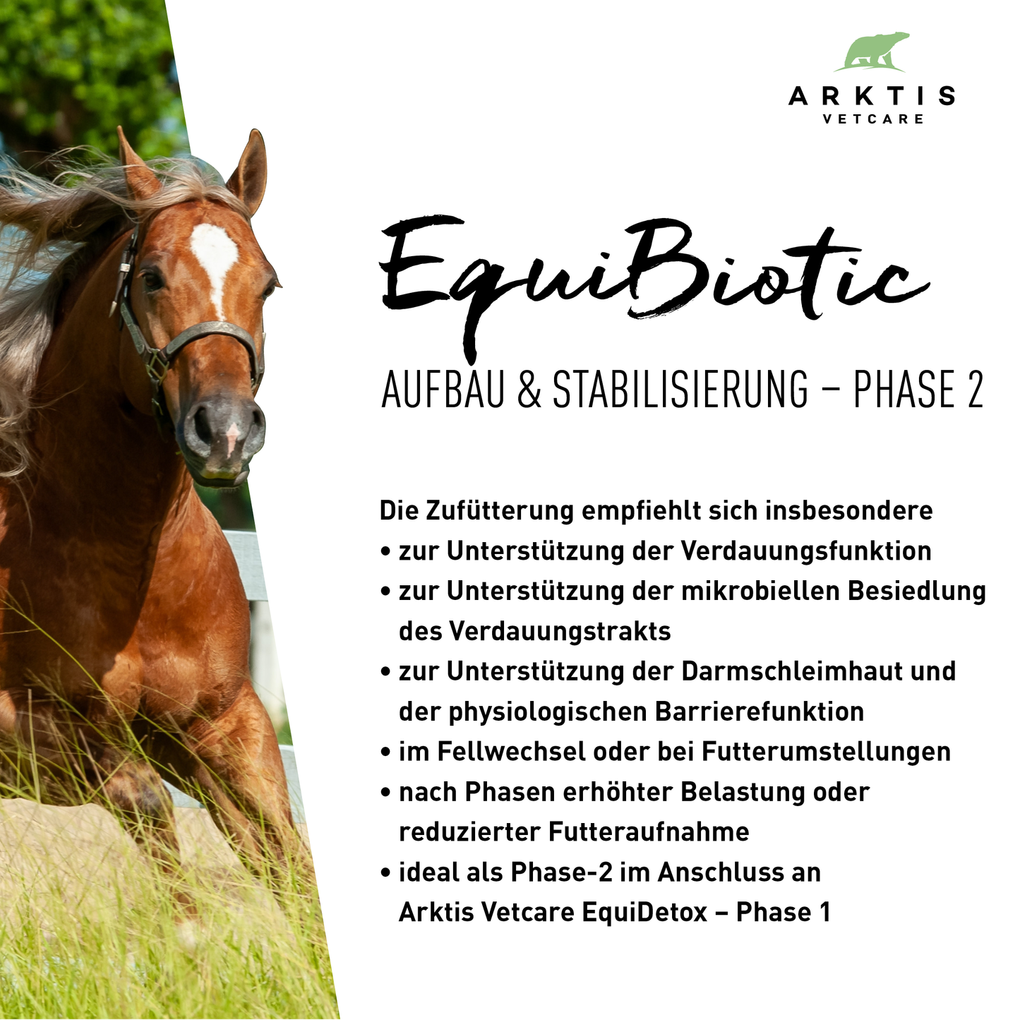 Arktis Vetcare DarmBalance Vorteilspaket