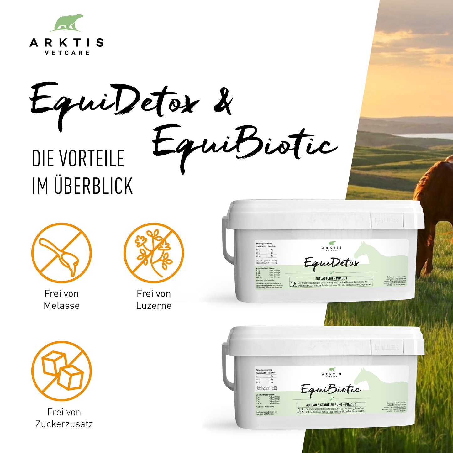 Arktis Vetcare DarmBalance Vorteilspaket