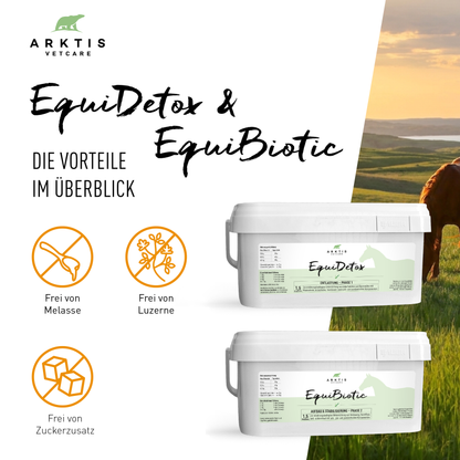 Arktis Vetcare DarmBalance Vorteilspaket