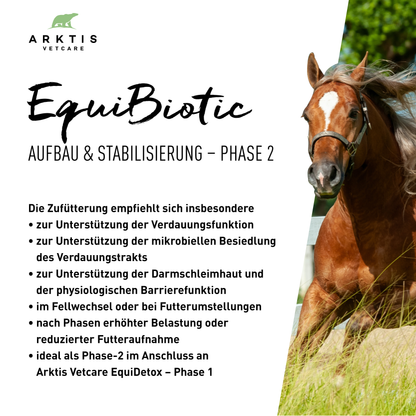 Arktis Vetcare EquiBiotic - Phase 2