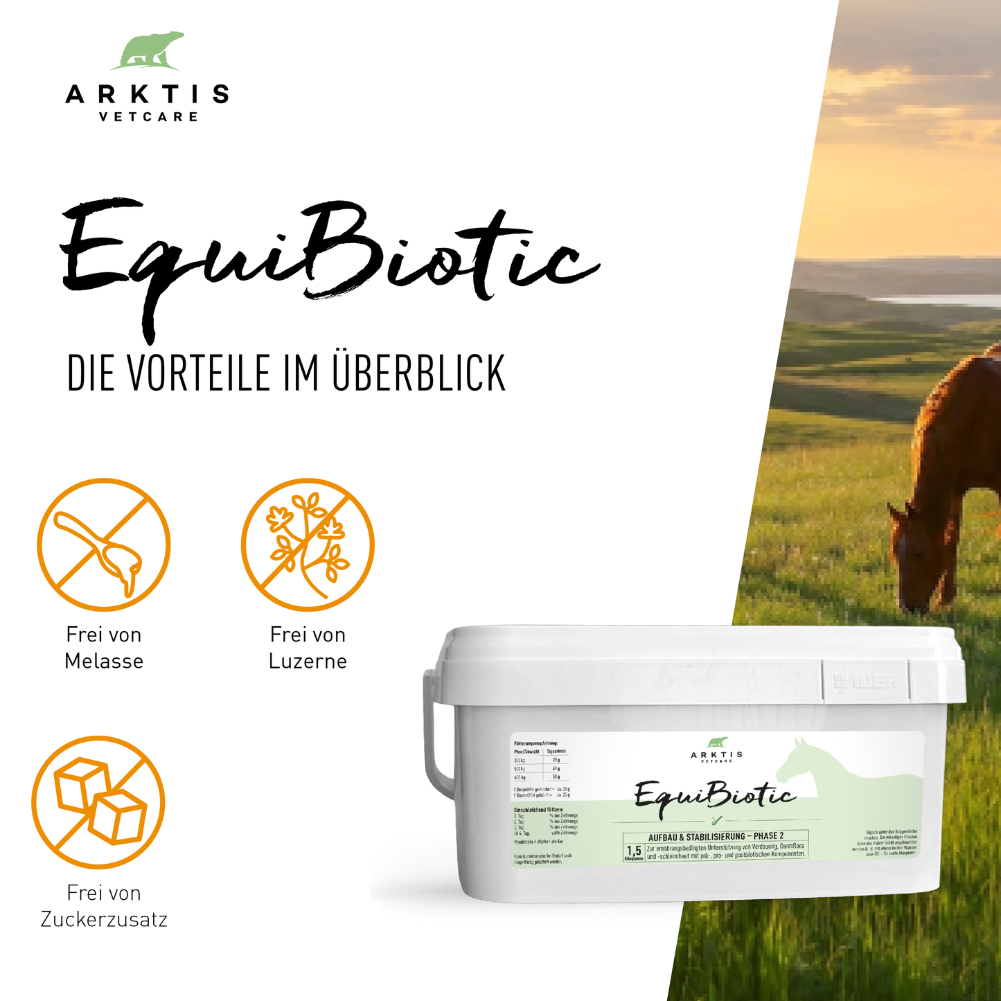 Arktis Vetcare EquiBiotic - Phase 2