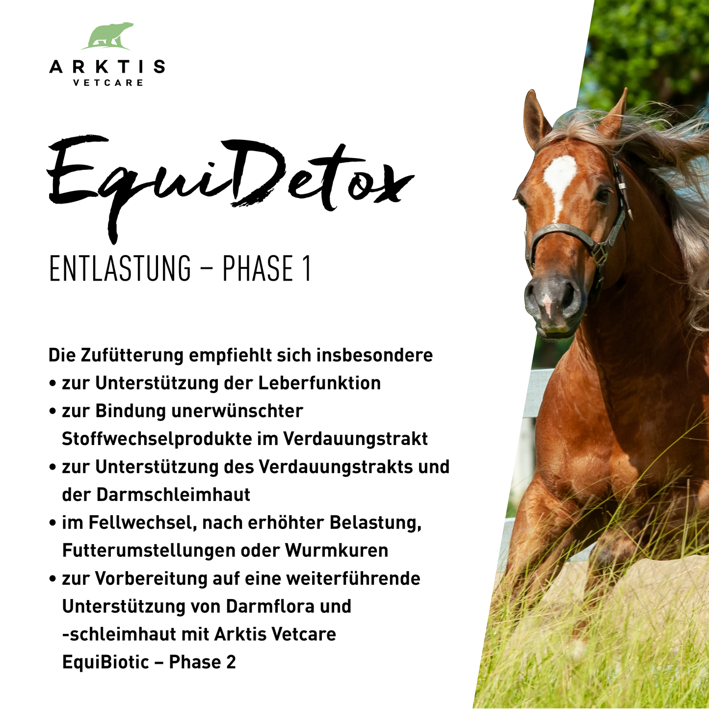 Arktis Vetcare EquiDetox - Phase 1