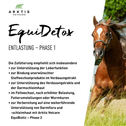 Arktis Vetcare EquiDetox - Phase 1