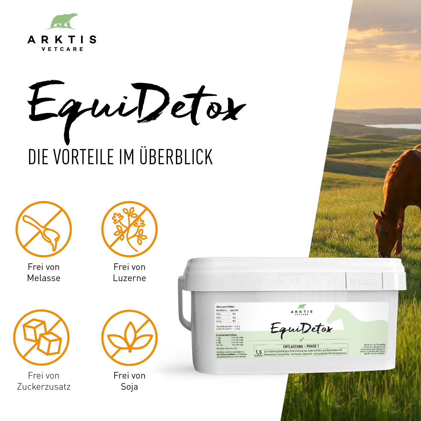 Arktis Vetcare EquiDetox - Phase 1