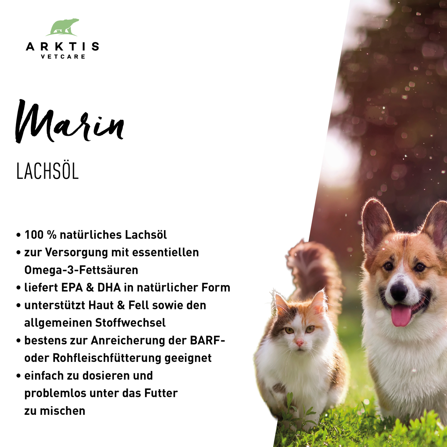 Arktis Vetcare Marin – Lachsöl